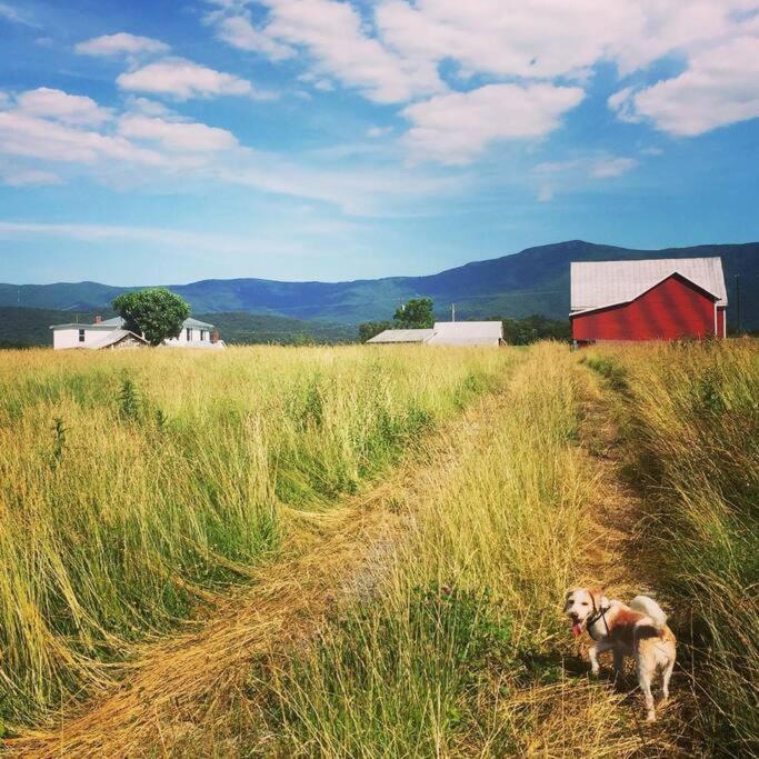 Madeline Farms Villa Luray Esterno foto