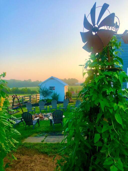Madeline Farms Villa Luray Esterno foto