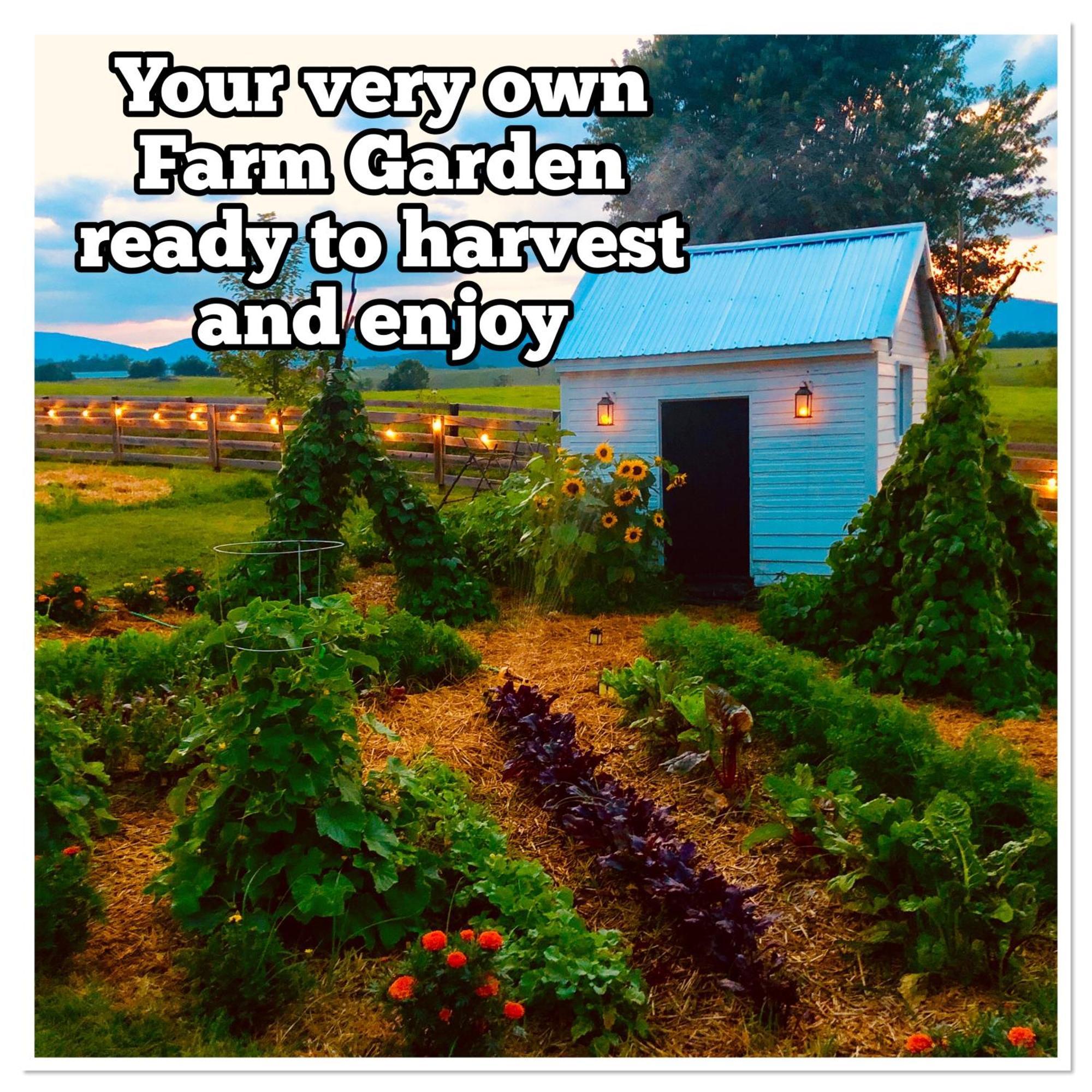 Madeline Farms Villa Luray Esterno foto