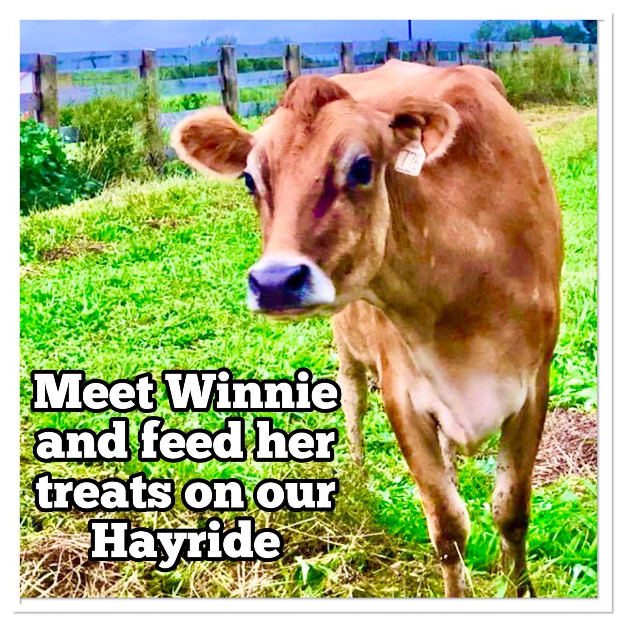 Madeline Farms Villa Luray Esterno foto