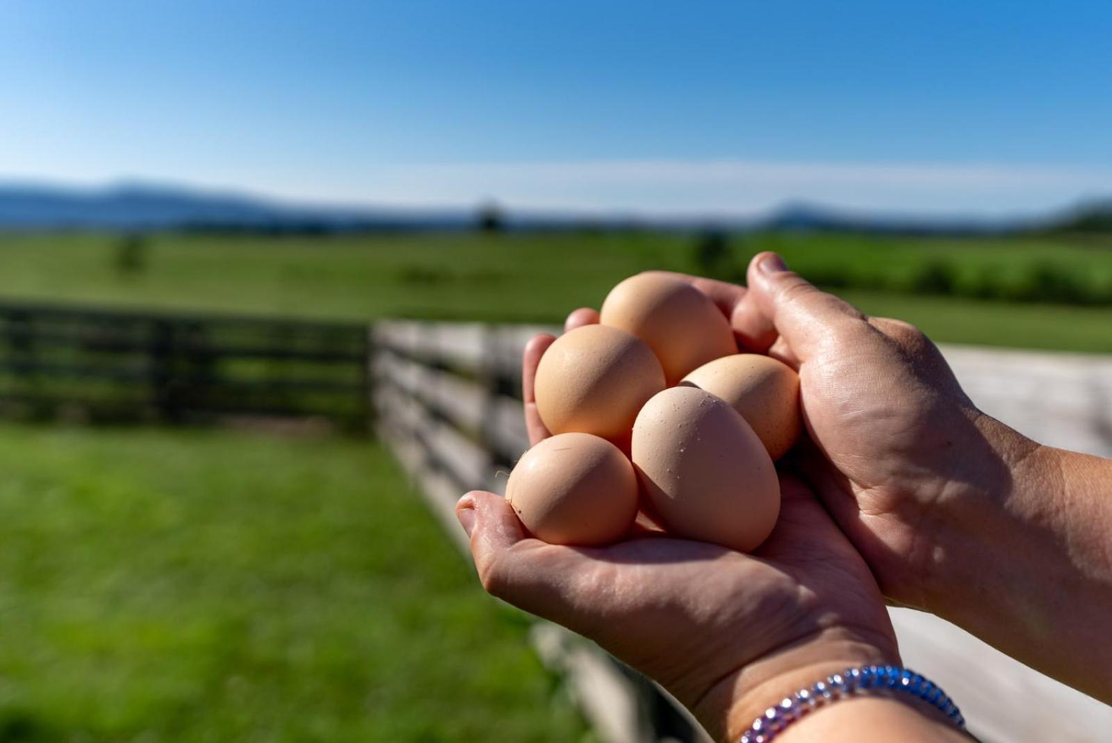 Madeline Farms Villa Luray Esterno foto