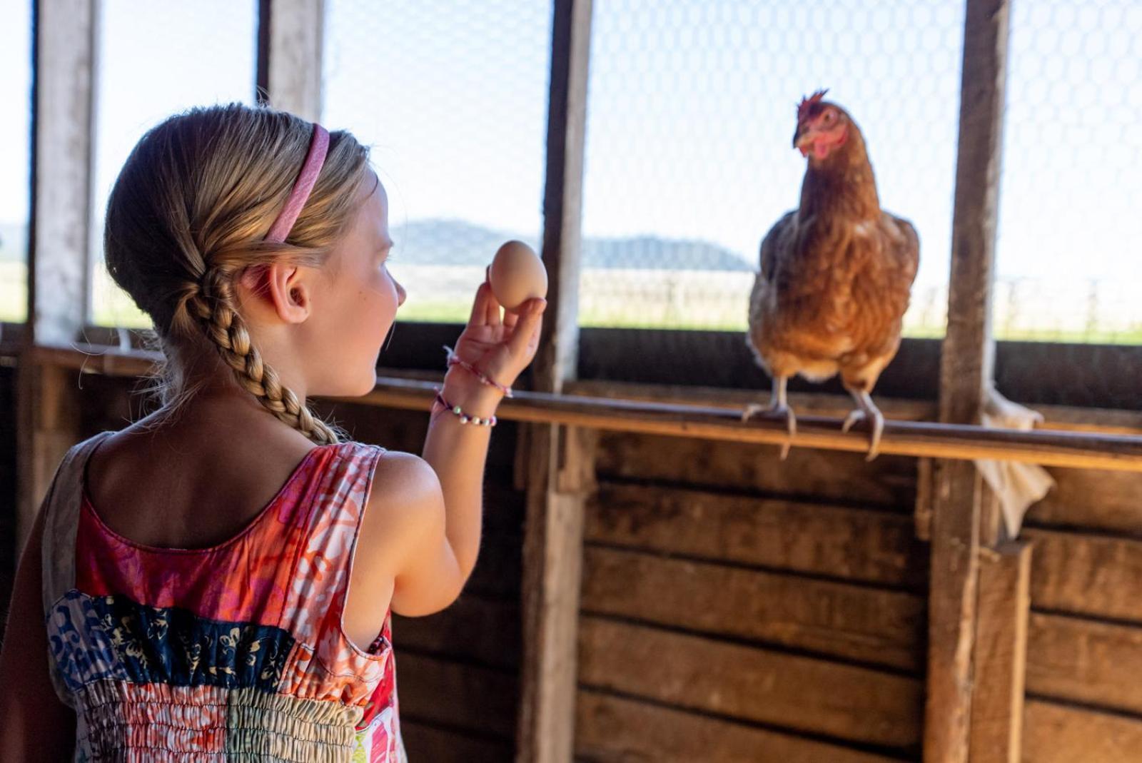 Madeline Farms Villa Luray Esterno foto