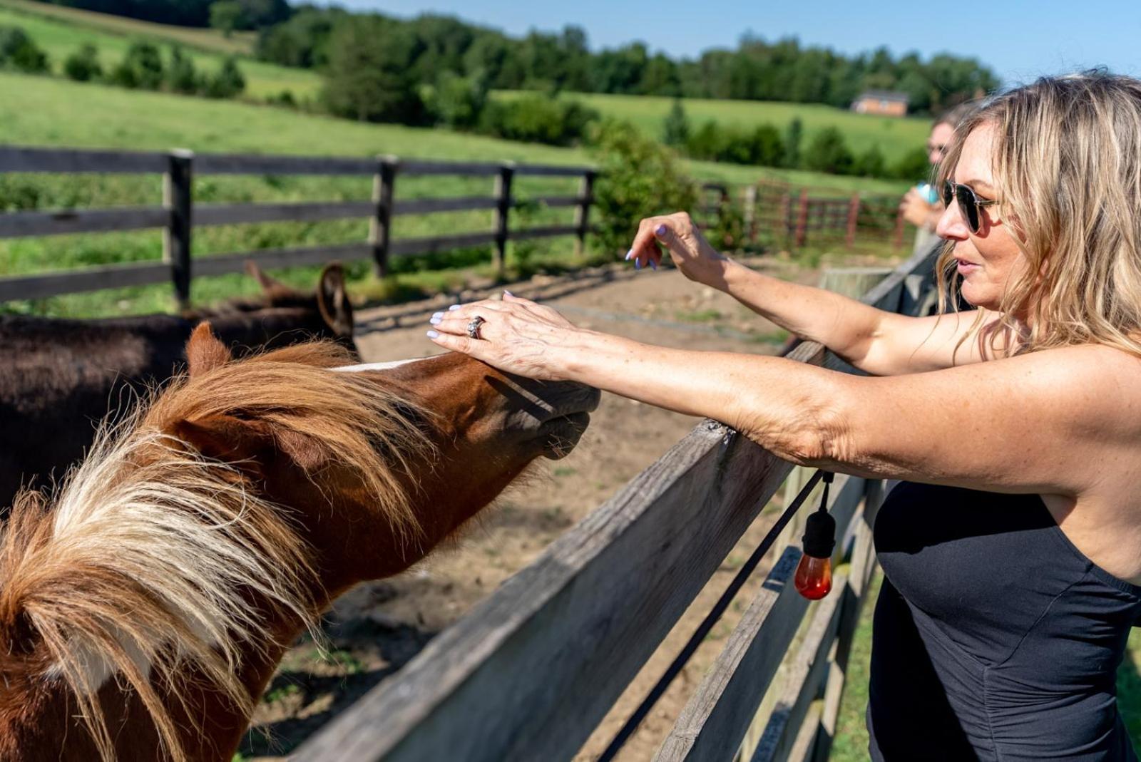 Madeline Farms Villa Luray Esterno foto