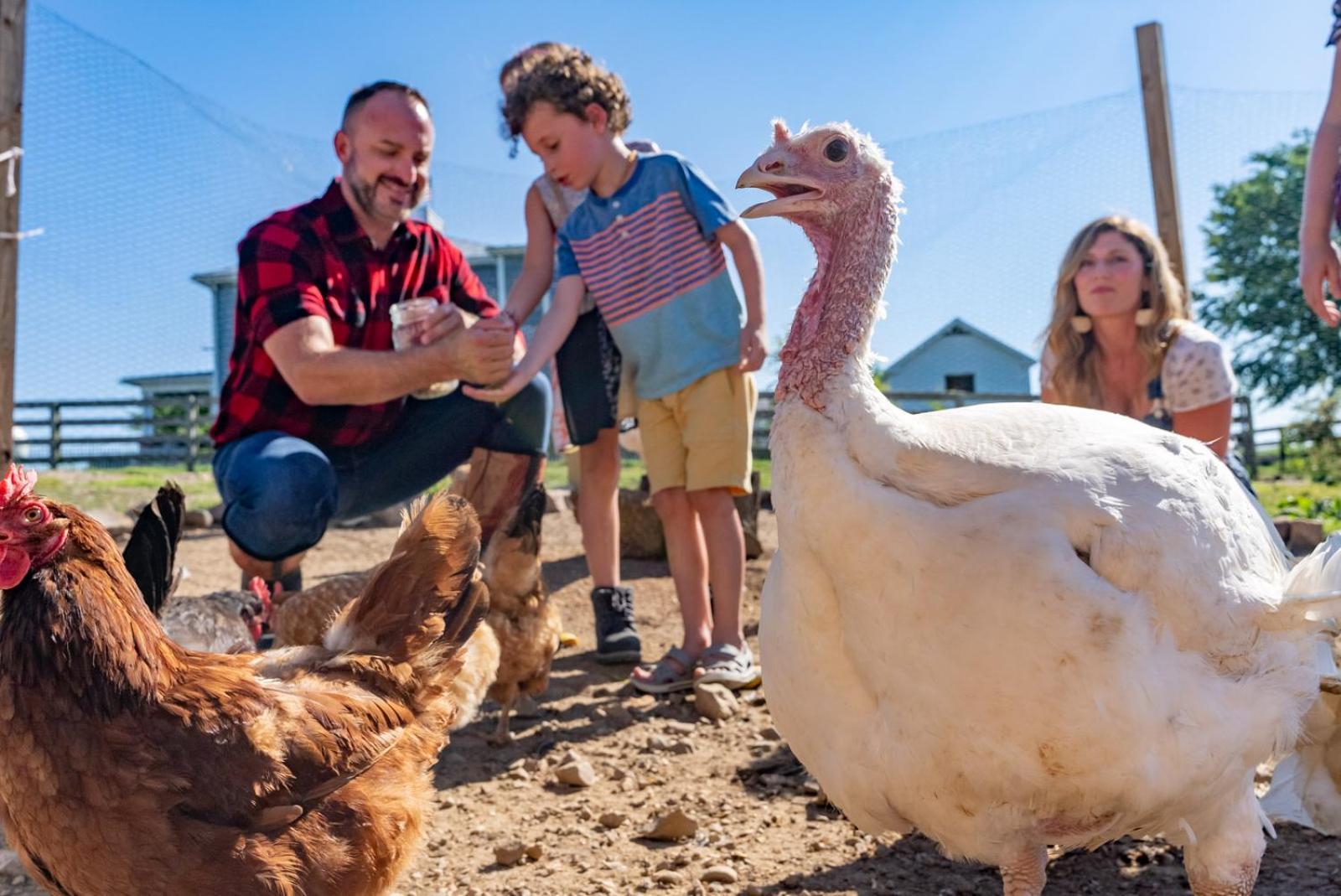 Madeline Farms Villa Luray Esterno foto